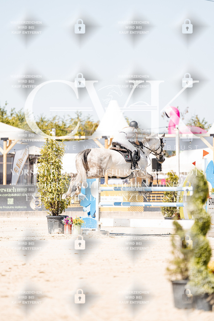 CK909592 | Turnierfotografie Pferdefotografie Trier Rheinland-Pfalz Pferdesport Reitsport Tierfotografie Sportfotografie Pferdevideo Pferdevideografie Equestrianvideography equestrianphotography  - Realisiert mit Pictrs.com