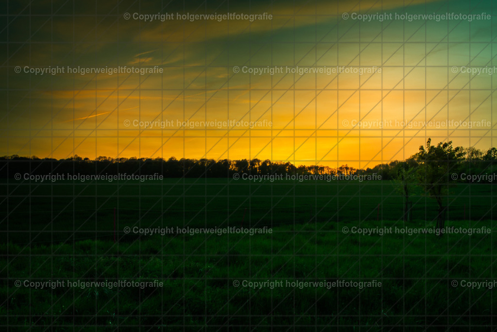 Abendstimmung | Kaufen sie online außergewöhnliche Fotografien auf Leinwand Acrylglas Fotoprint Aludibond von holgerweigeltfotografie - Realisiert mit Pictrs.com