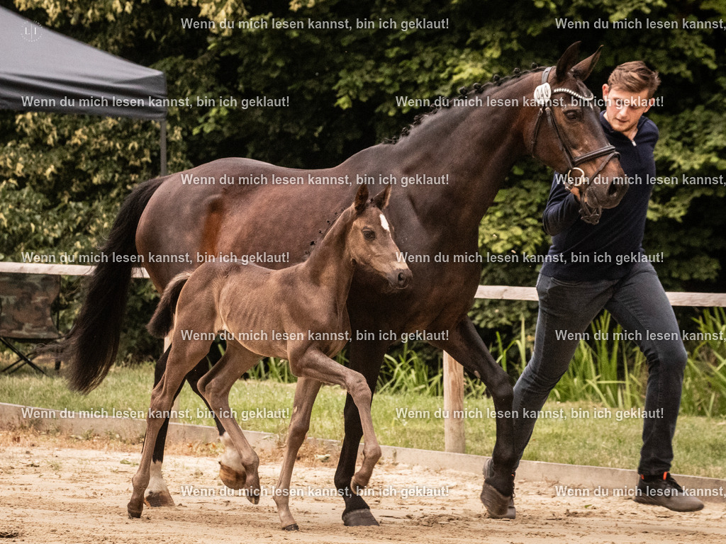 A10I3499 15.58.10 | photographylinaismer - Realisiert mit Pictrs.com