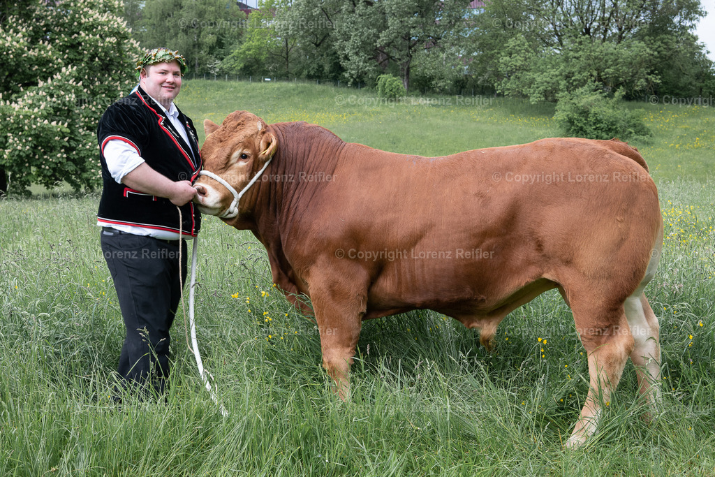 Schwingen -  Zürcher Kantonal 2023 | Zürich Allmend, 14.5.23, Schwingen - Zürcher Kantonal.