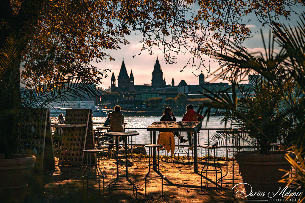 DSC_7294 | Fotografien, Fotos und Bilder aus Mainz, Frankfurt, Wiesbaden und anderen Orten auf der Welt - Fotografiert von Darius Metzner