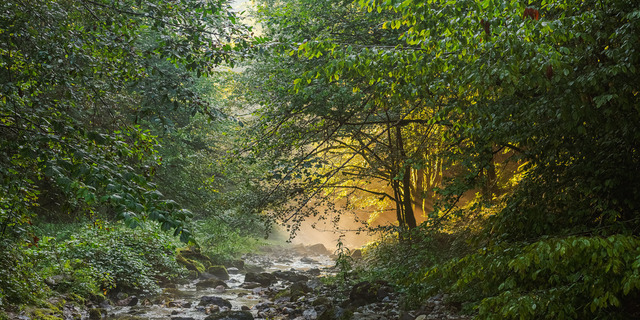 RO_Valea_Sighistelului_4500px_shortside