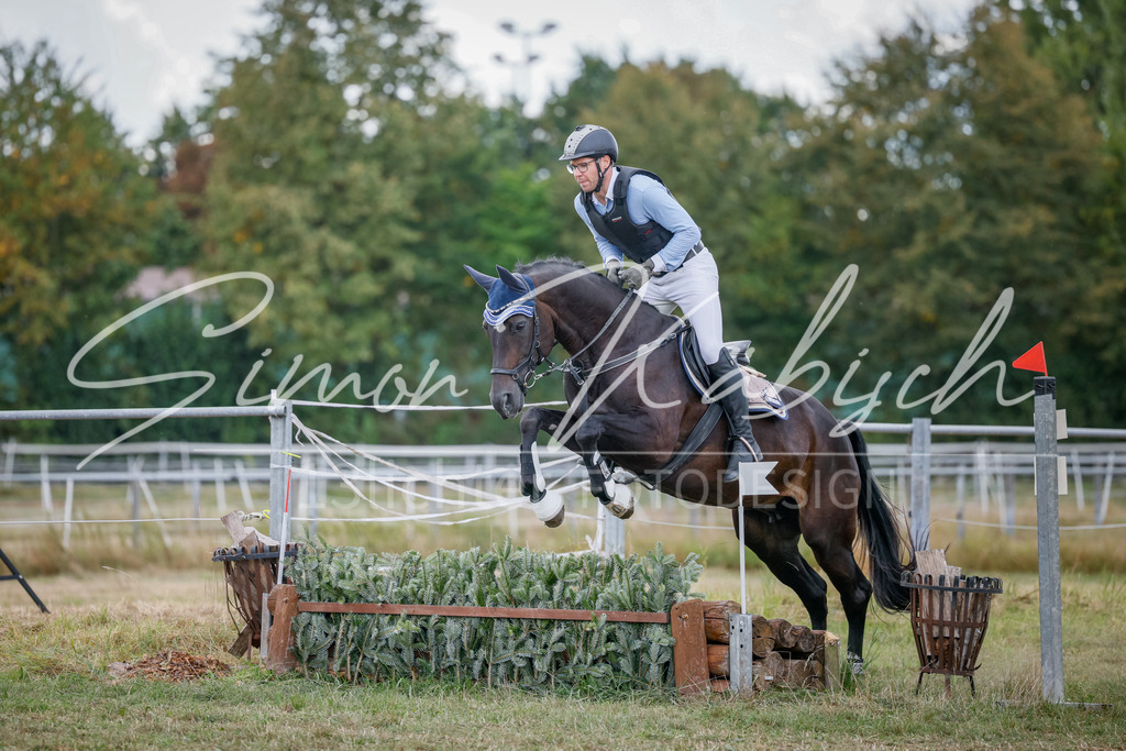 20250905-_3LI0673 | Tierfotografie Pferde, Hunde, Katzen, Haustiere.
Turnierfotografie Reitturniere, Reiten, Springreiten, Dressur in Hanau, dem Main-Kinzig-Kreis und dem Rhein-Main- Gebiet um Frankfurt