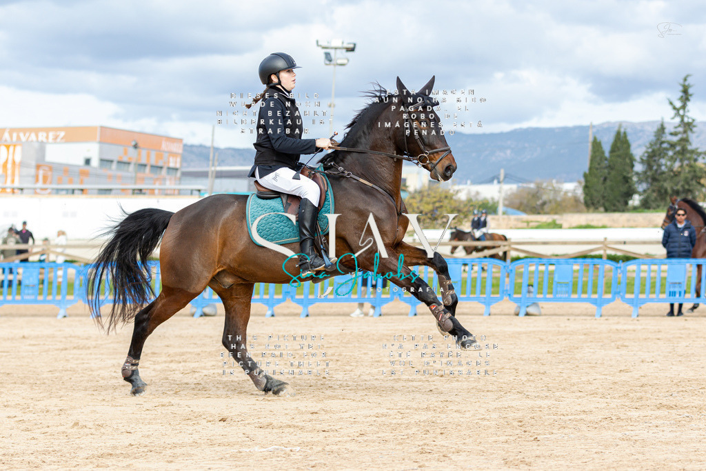 IMG_2660 | s-jay-photography - Realisiert mit Pictrs.com