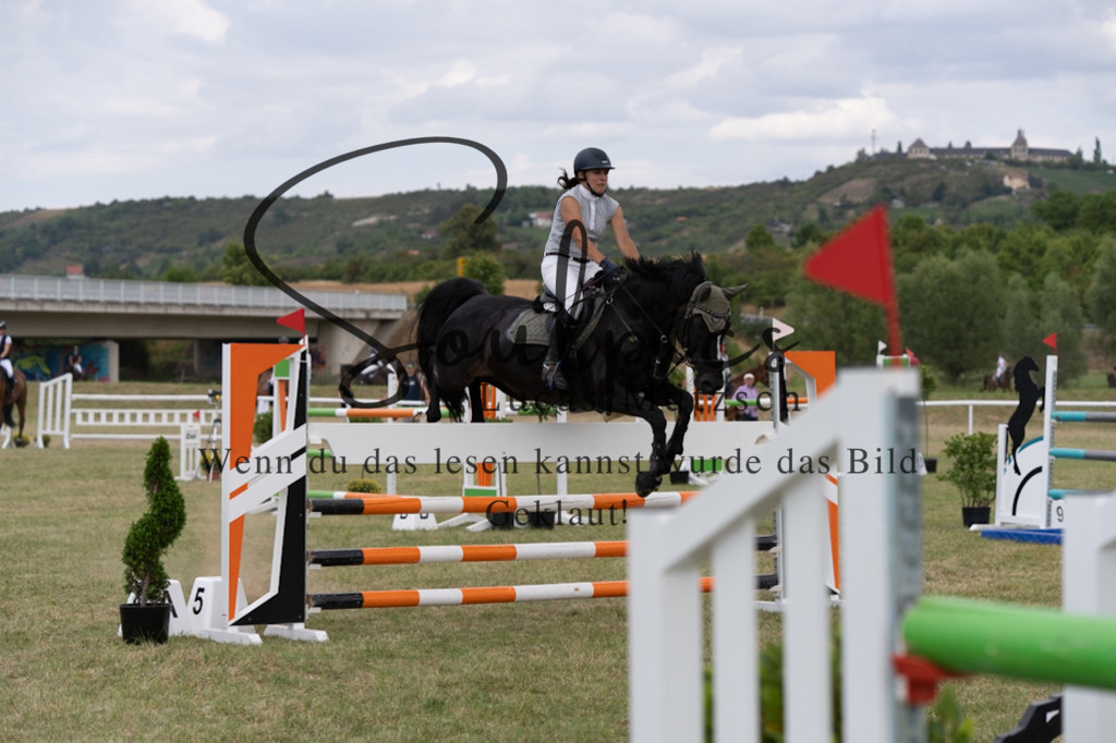 A7V02176 | Pferdefotograf