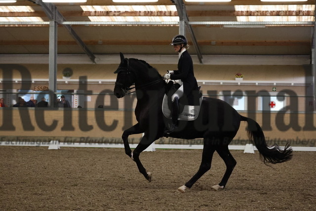 Wiesental_2025_NBM_Prfg.Nr.04_Prix St.Georges_Valerie del Rio Pfeffer_Braveheart 61 (6) | Alle Fotos der Reiterjournal Fotografin Doris Matthaes im Reiterjournal Online-Fotoshop. - Realisiert mit Pictrs.com