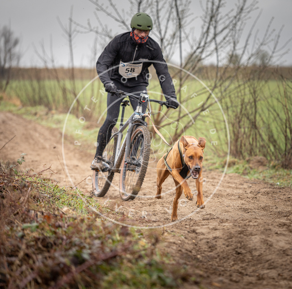 DV3A9128 | Hundefotografie, Tierfotograf, Pfotenfotografie, Fotoshooting Hund, Hunde Portrait, Hundesport, Hundeportraits, Heideshooting, Hunde, Sportfotograf, Hundefotograf, Turnierhundsport, THS,  - Realisiert mit Pictrs.com