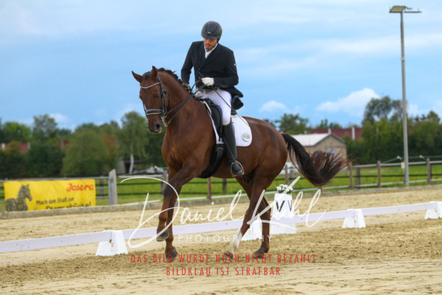 DKP44829 | Turniersportfotografie; Pferdefotografie; Dressurfotografie