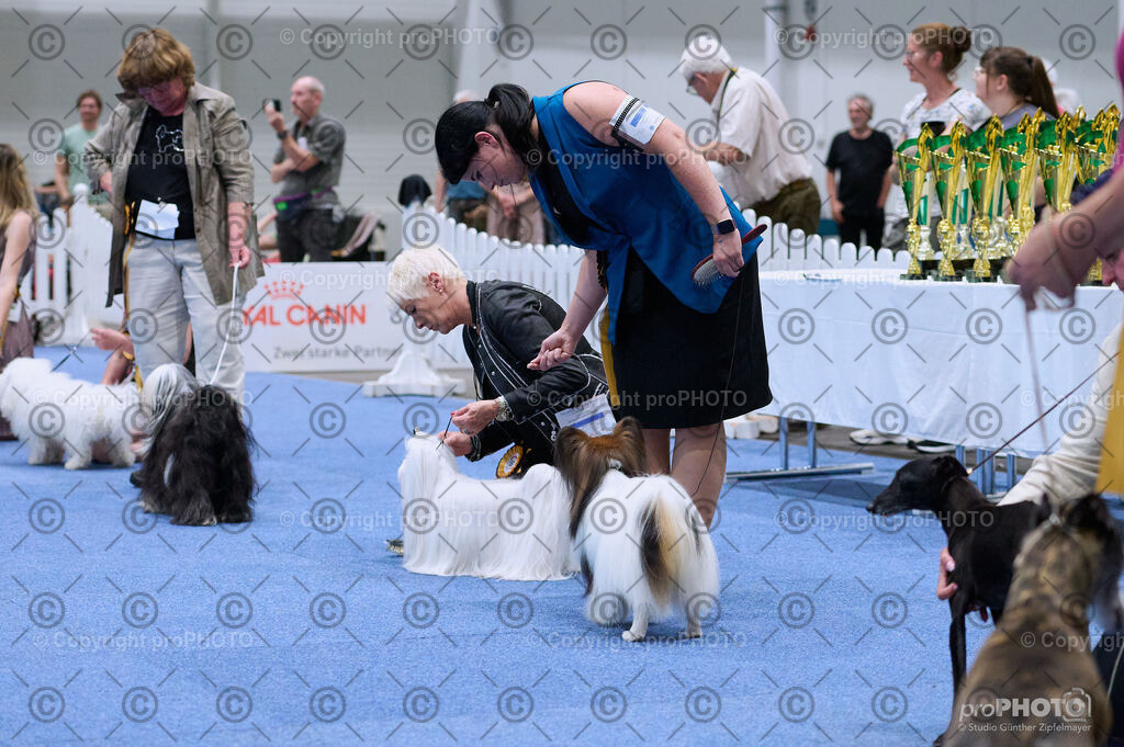 202406_ÖKV-IHA-Tulln24_DSC_3653 | proPHOTO - Realisiert mit Pictrs.com