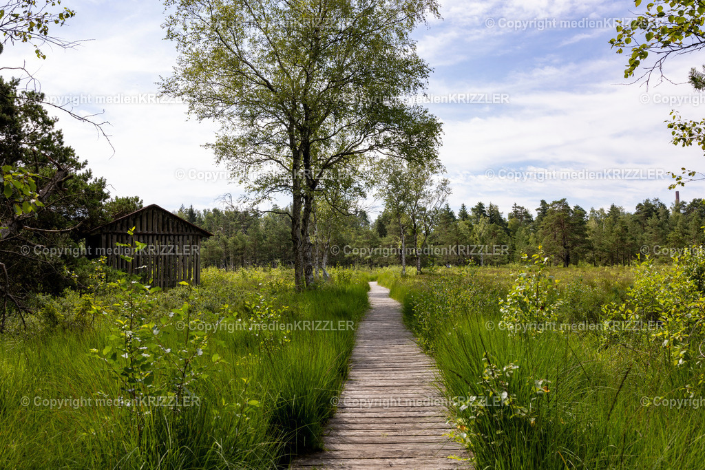 _J3A5423 | medienkrizzler - Realisiert mit Pictrs.com