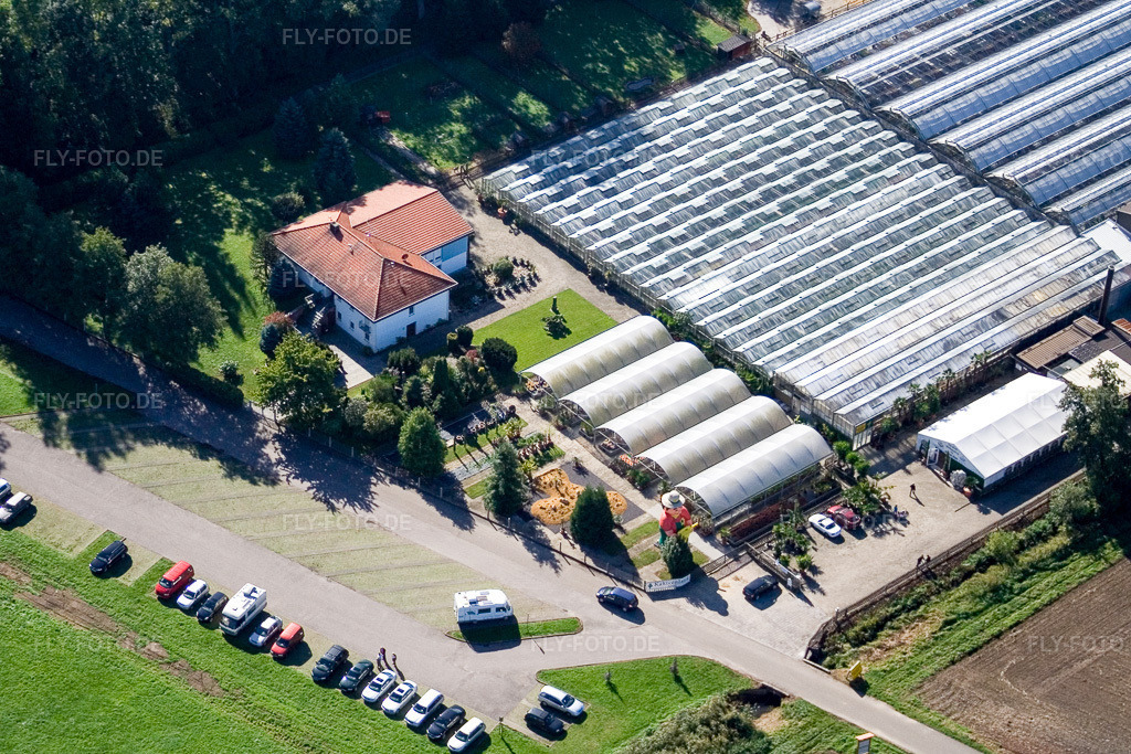 Luftbild: Steinfeld, Kakteenland in Steinfeld im Bundesland Rheinland-Pfalz in Deutschland. Foto: IMG_4351.jpg vom 08.10.2006 durch Werner Riehm/FLY-FOTO.de