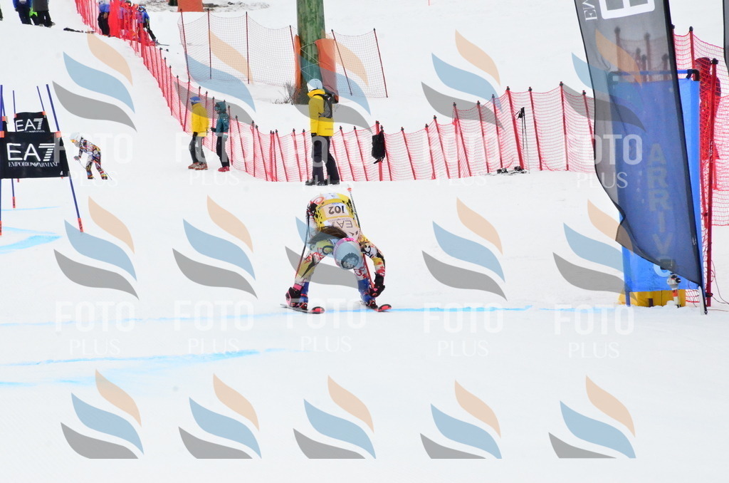 _ELE3543 | holidayphoto