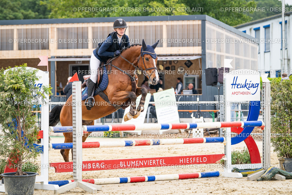 DSC09813 | Pferdegrafie