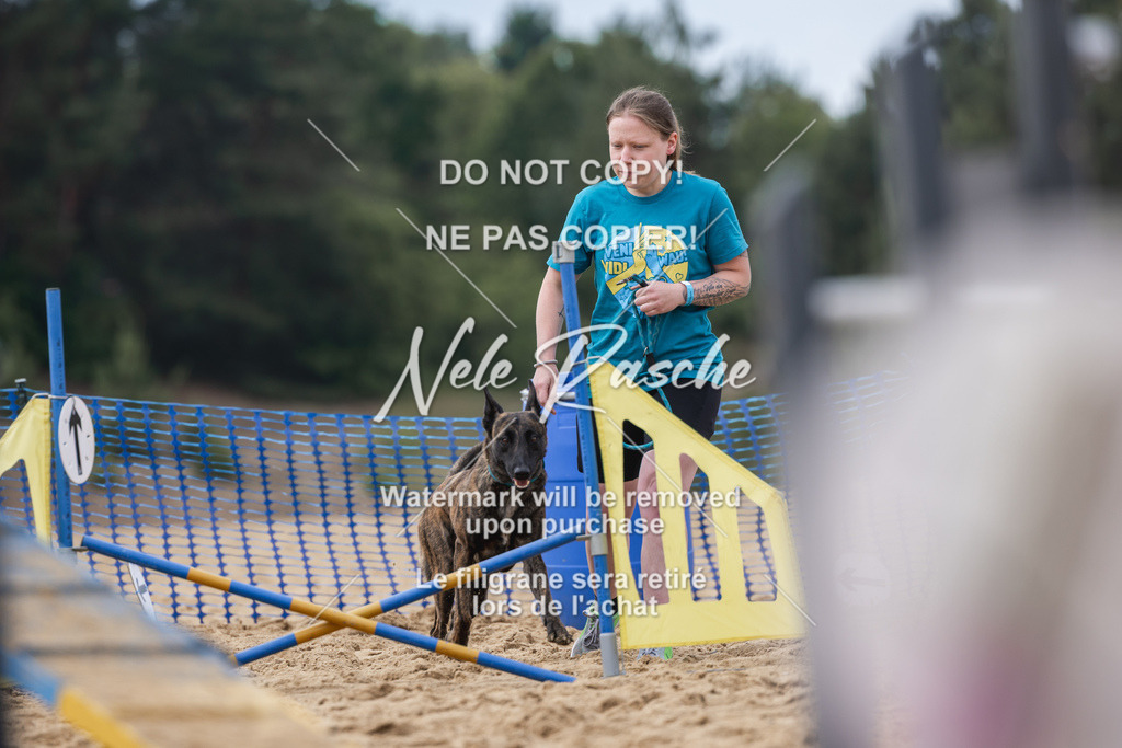 nelerasche_BuHu2026_So1530-Ende_93 | nelerasche