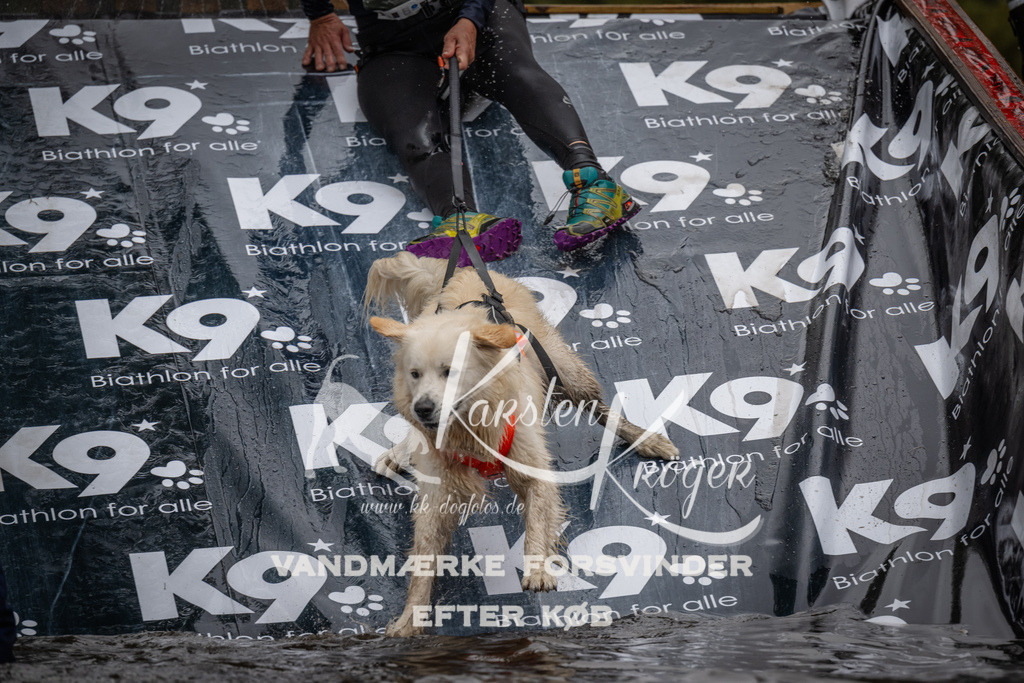 1113_ZZ92209 | kk-dogfotos