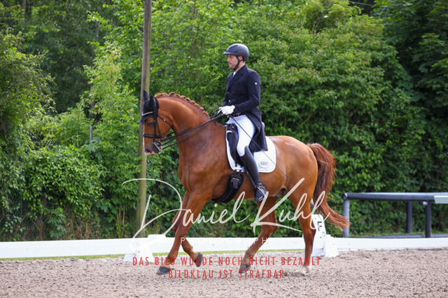 DKP41289 | Turnierfotos kaufen im Webshop von Daniel Kuhl Photography – entdecke professionelle Reitsportfotos aus Turnieren & Events. Hochwertige Turnierbilder online bestellen & sichern. Jetzt Fotos von Reitsportturnieren kaufen!
