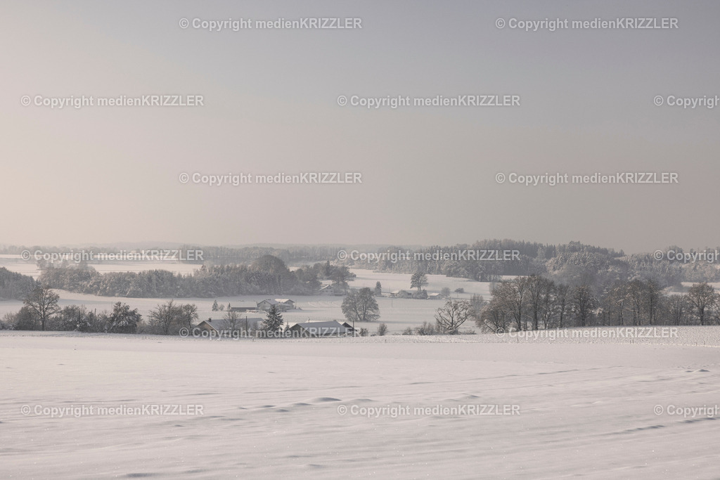 _J3A9595 | medienkrizzler - Realisiert mit Pictrs.com