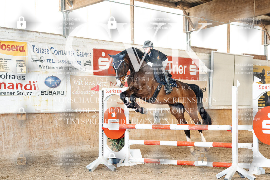 CK905216 | Turnierfotografie Pferdefotografie Trier Rheinland-Pfalz Pferdesport Reitsport Tierfotografie Sportfotografie Pferdevideo Pferdevideografie Equestrianvideography equestrianphotography  - Realized with Pictrs.com