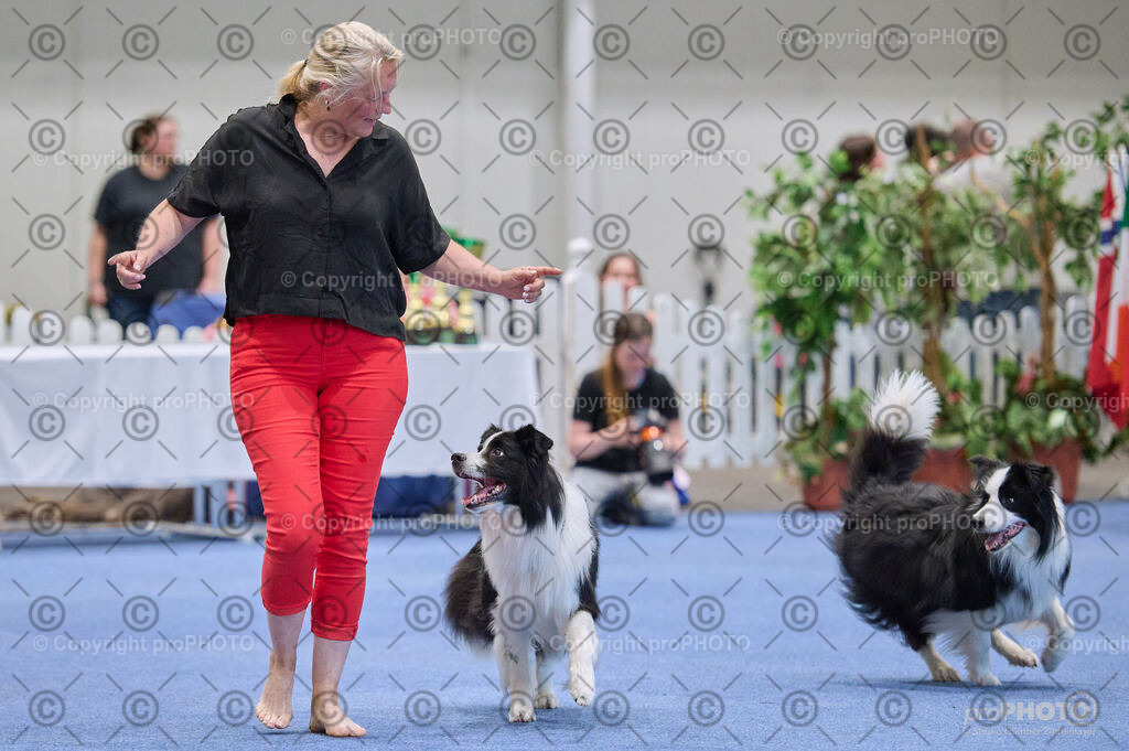 202406_ÖKV-IHA-Tulln24_DSC_4361 | proPHOTO - Realisiert mit Pictrs.com