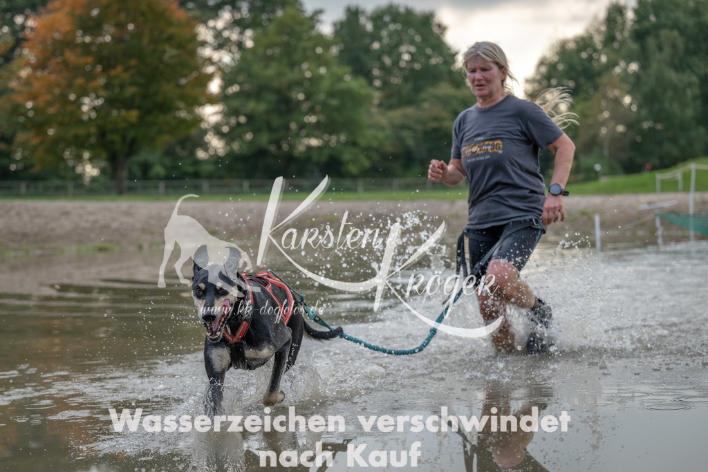 1536_ZZ93501 | kk-dogfotos