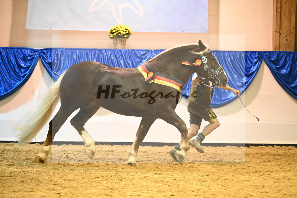 Kat-Nr. 90 Venturin_Hollinger u Ober_53221559 | hf-fotografie - Realisiert mit Pictrs.com