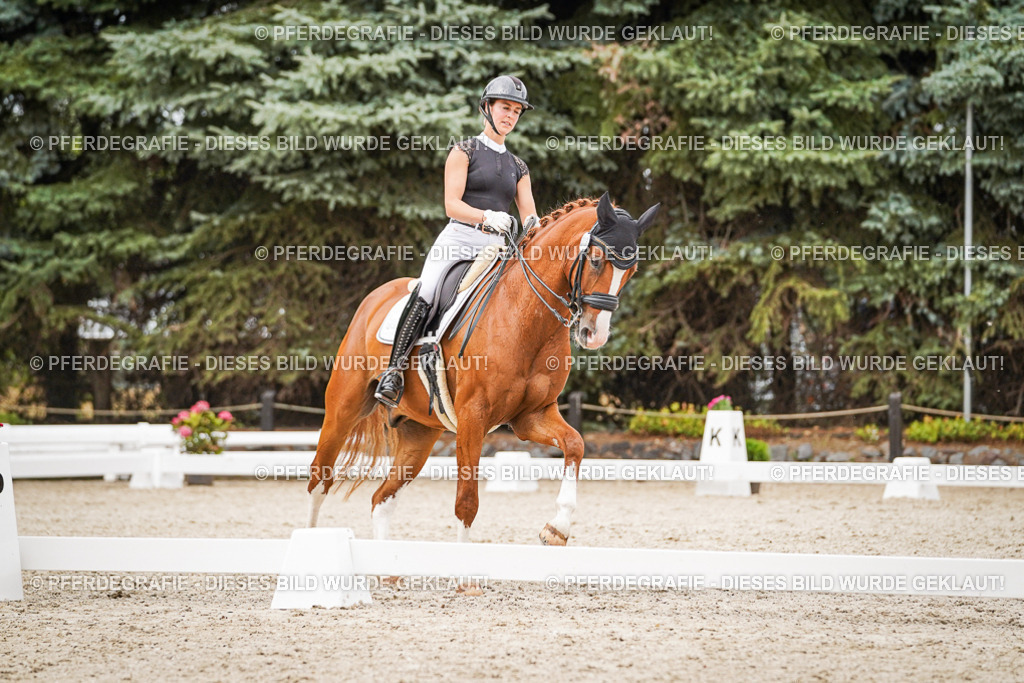 DSC07947 | Pferdegrafie