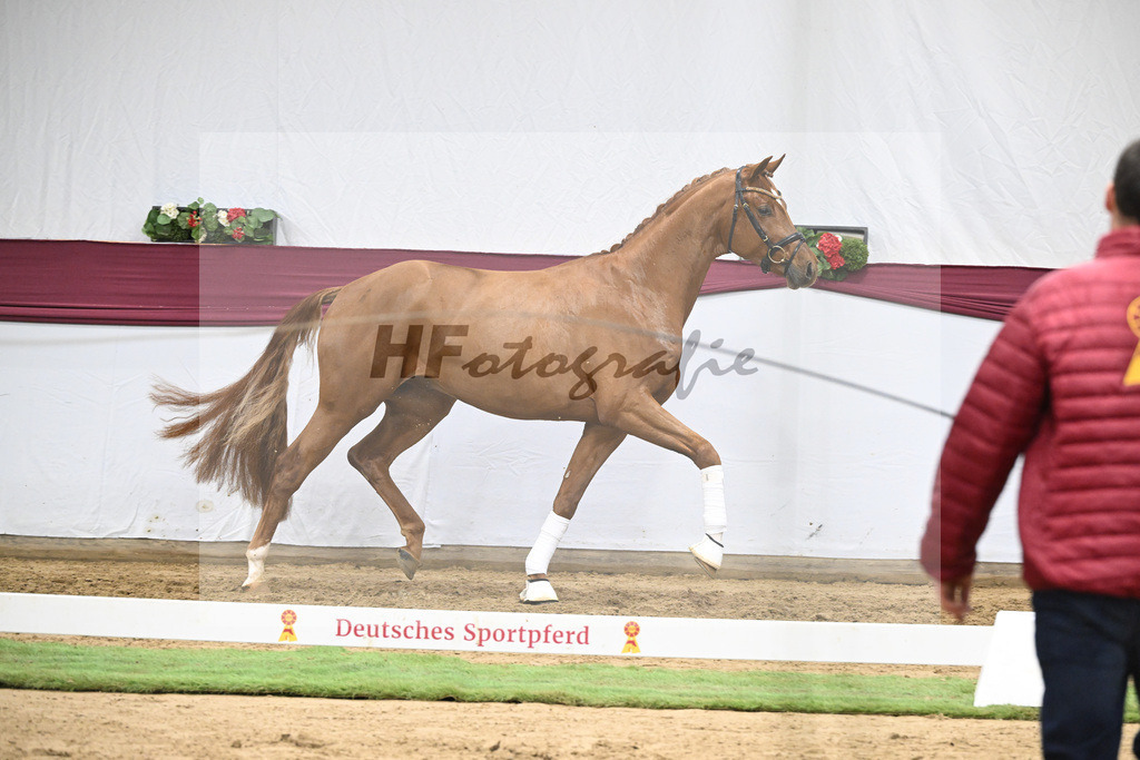 Kat-Nr. 133 Von Und Zu x Locksley III_Sabine Lehner_47254518 | hf-fotografie - Realisiert mit Pictrs.com