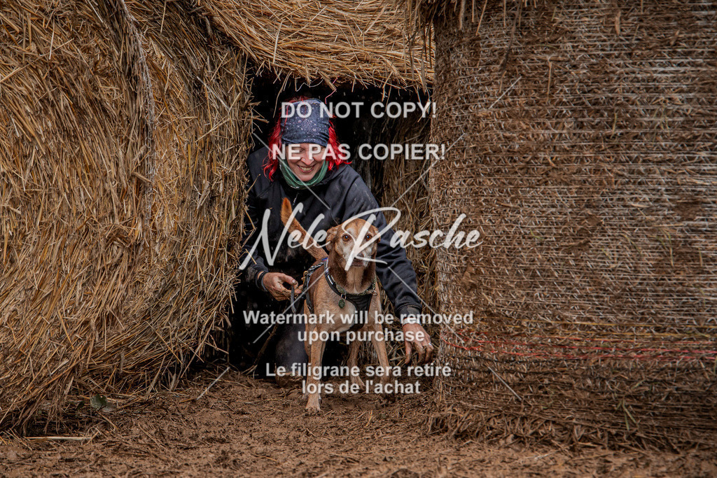 nelerasche_Hunsrück_So12-13_70 | nelerasche