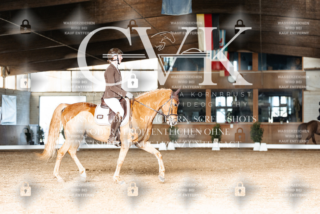 CK902906 | Turnierfotografie Pferdefotografie Trier Rheinland-Pfalz Pferdesport Reitsport Tierfotografie Sportfotografie Pferdevideo Pferdevideografie Equestrianvideography equestrianphotography  - Realisiert mit Pictrs.com