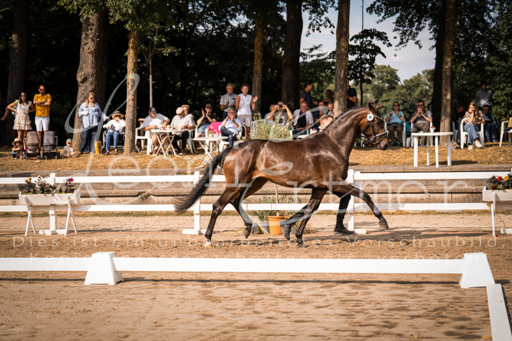 FrER00156 | Leoni Ertmer Photography - Realisiert mit Pictrs.com