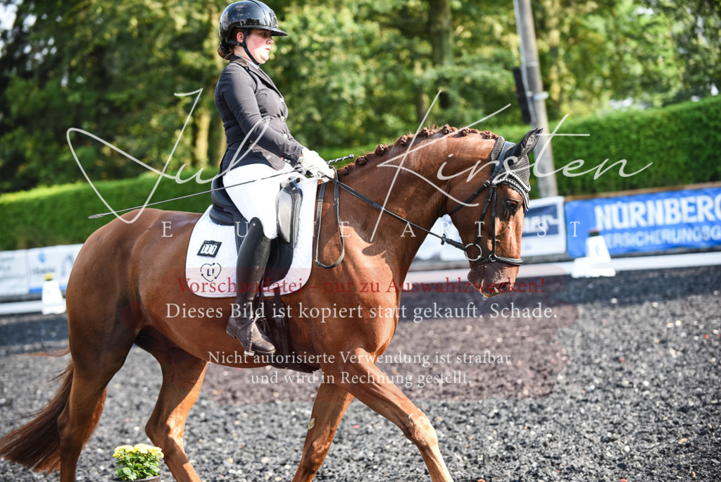 DSC_3265 | Pferde- und Turnierfotografie in Westsachsen. Pferdeportraits, Auftragszeichnungen und intuitive Kunst.