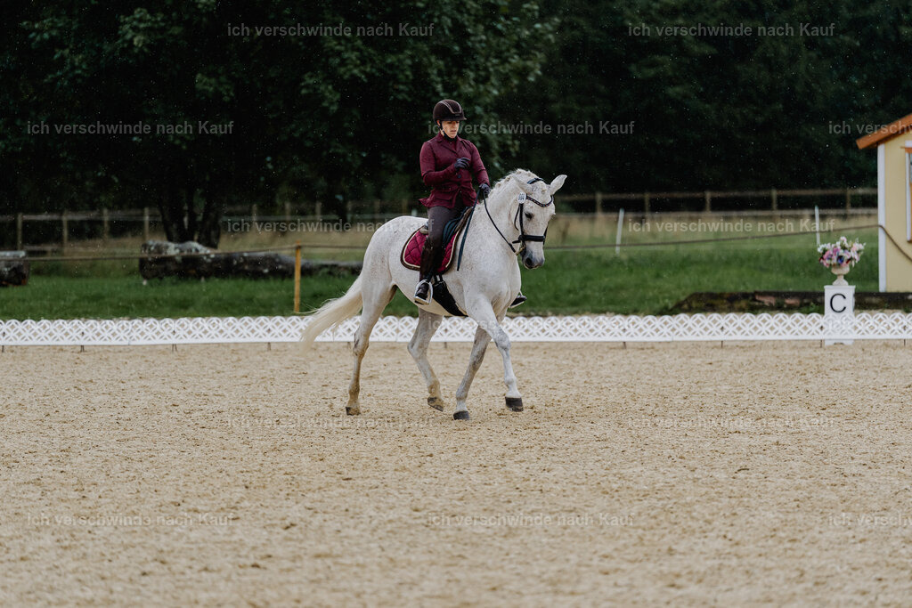 Kelly4_FHC2025-8563 | working equitationturnier fotograf videograf stoibphotography marixx film working equitation deutschland reitsport turnierfotografie eventfotografie equestrian events