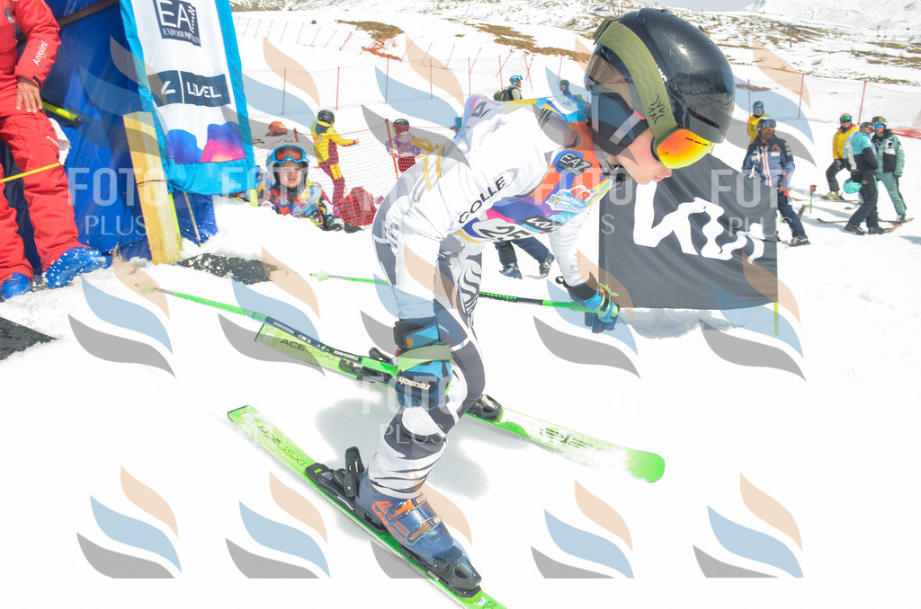 _ELE7593 | holidayphoto