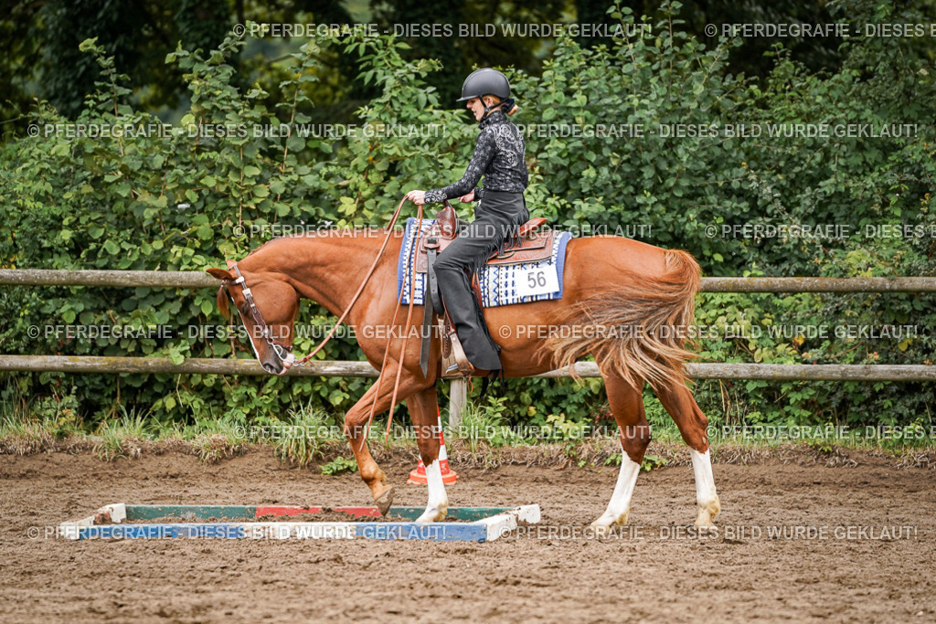 DSC04280 | Pferdegrafie