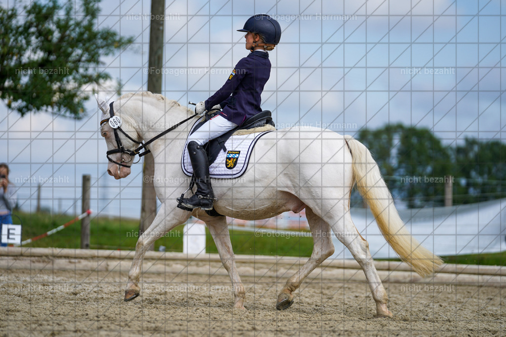 20230826-FAH05283 | Forstinning, 2023, Dressurturnier, Turniersportbilder, Turnierfotografen Bayern, Fotoagentur Herrmann, Reitsportfotografie, Turnierbilder