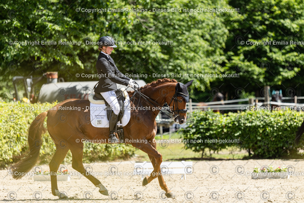 CL5A9197 | Emilia Reinking Fotografie - Realisiert mit Pictrs.com