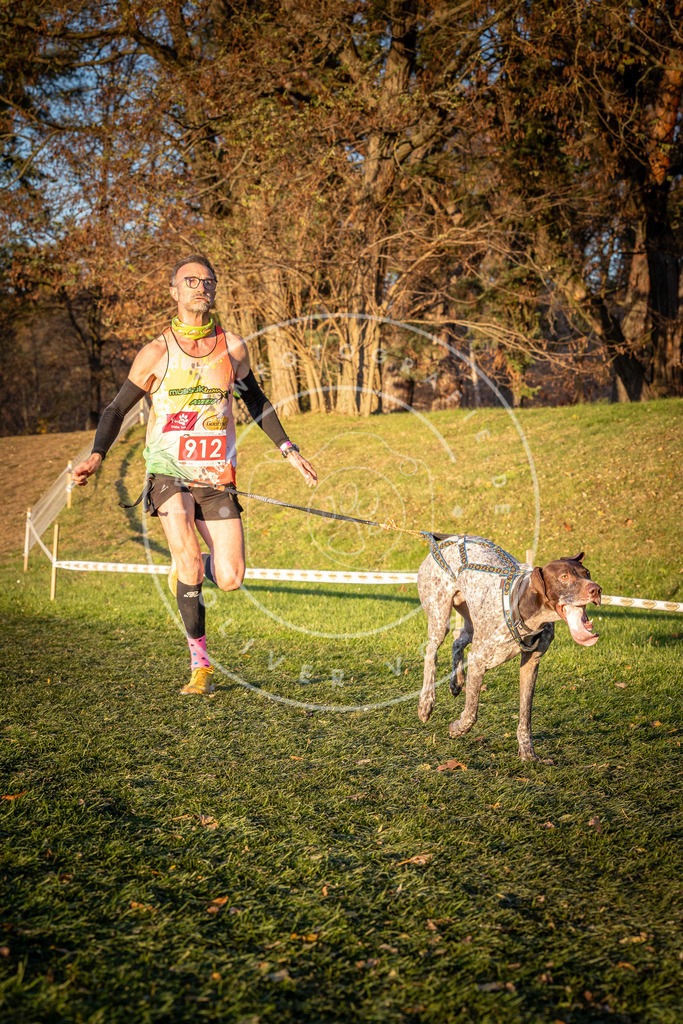 CaniXpix_0L8A1471 | Hundefotografie, Tierfotograf, Pfotenfotografie, Fotoshooting Hund, Hunde Portrait, Hundesport, Hundeportraits, Heideshooting, Hunde, Sportfotograf, Hundefotograf, Turnierhundsport, THS,  - Realisiert mit Pictrs.com