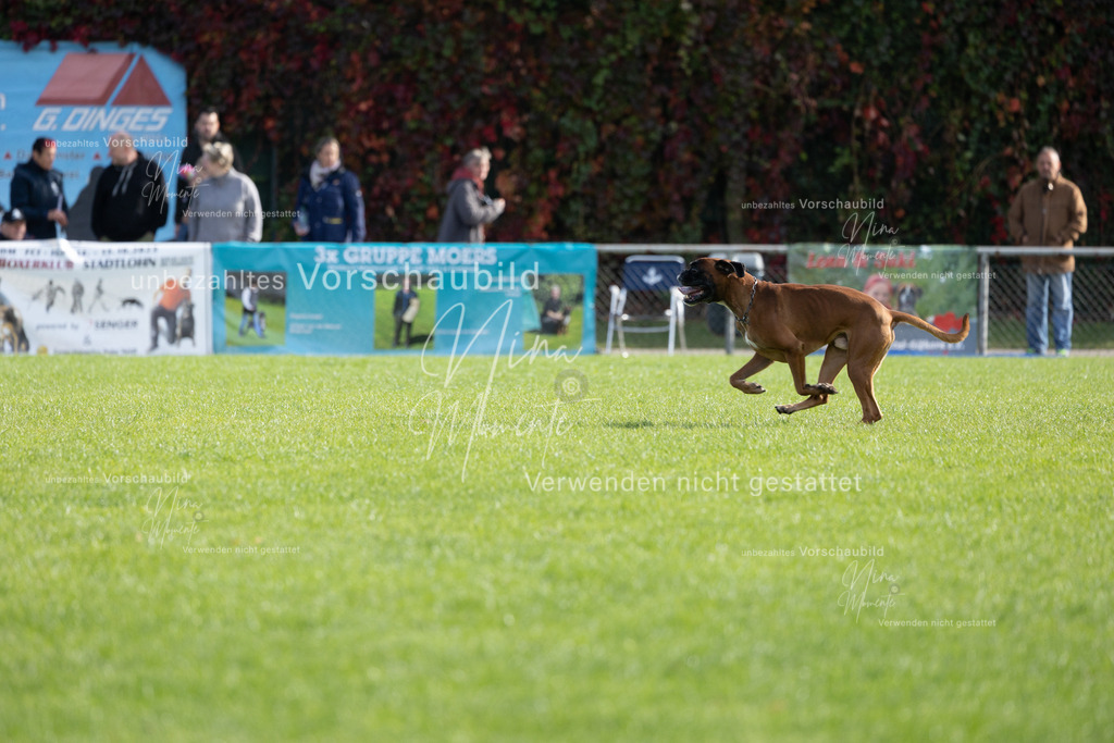 _16A6635 | Einzigartige Fotos von Hunden & Menschen –Actionfotos, Portraits, Vereinsaufnahmen & Paarshootings – authentisch, lebendig & mit Herz.