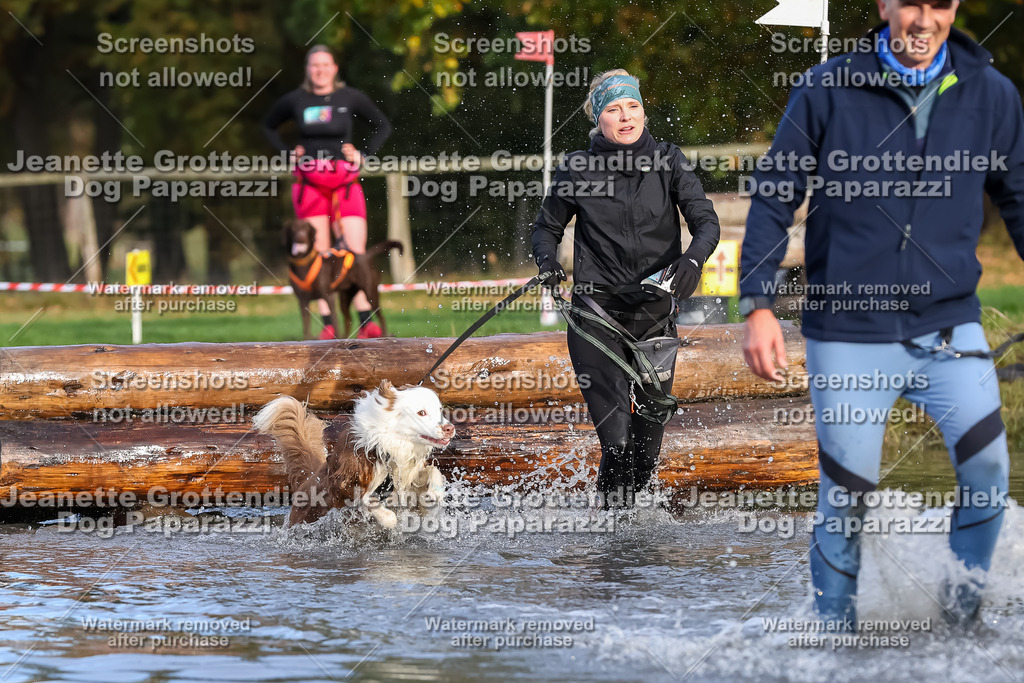 Dog Paparazzi - Strongdog 10-25-7043 | Dog Paparazzi Jeanette Grottendiek Fotografie & Videografie - Realisiert mit Pictrs.com