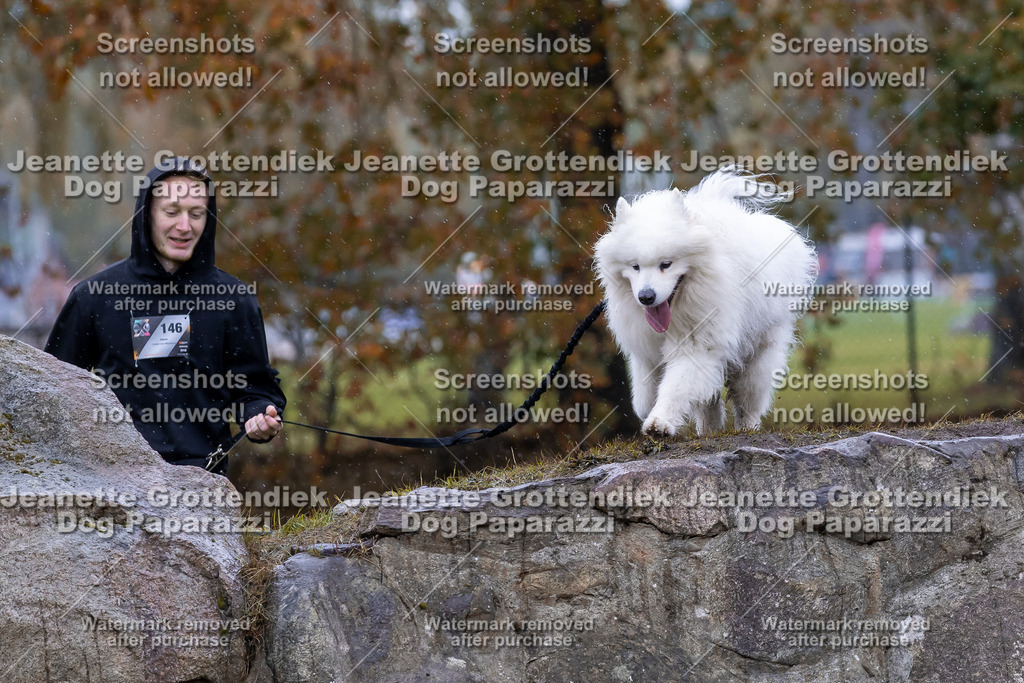 Dog Paparazzi - SD CaniX Championship 2025-763 | Dog Paparazzi Jeanette Grottendiek Fotografie & Videografie - Realisiert mit Pictrs.com