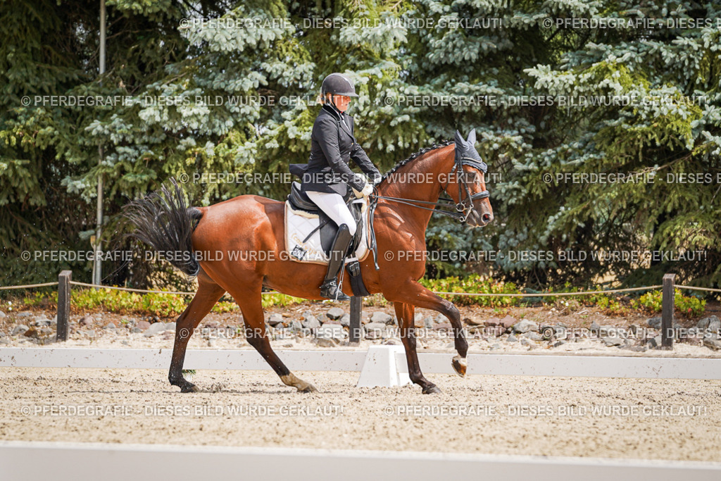 DSC03388 | Pferdegrafie