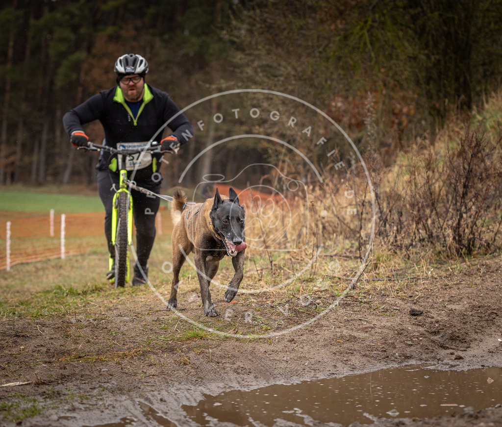 DV3A9478 | Hundefotografie, Tierfotograf, Pfotenfotografie, Fotoshooting Hund, Hunde Portrait, Hundesport, Hundeportraits, Heideshooting, Hunde, Sportfotograf, Hundefotograf, Turnierhundsport, THS,  - Realisiert mit Pictrs.com