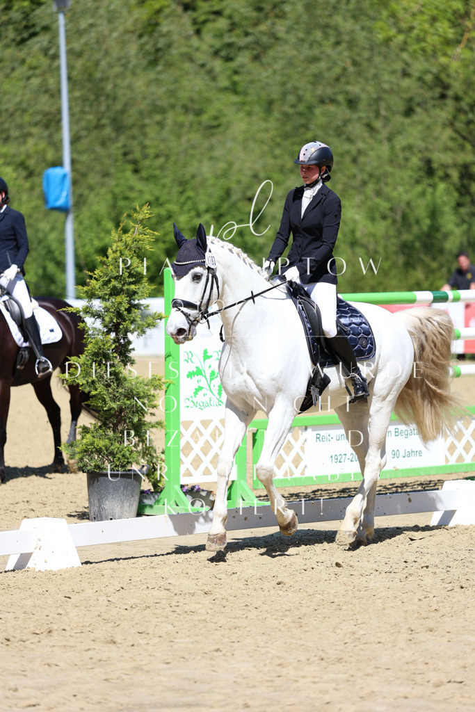 IMGS1536 | pl-fotografie