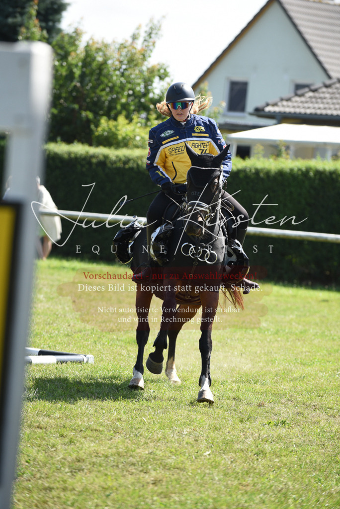 DSC_0392 | Pferde- und Turnierfotografie in Westsachsen. Pferdeportraits, Auftragszeichnungen und intuitive Kunst.