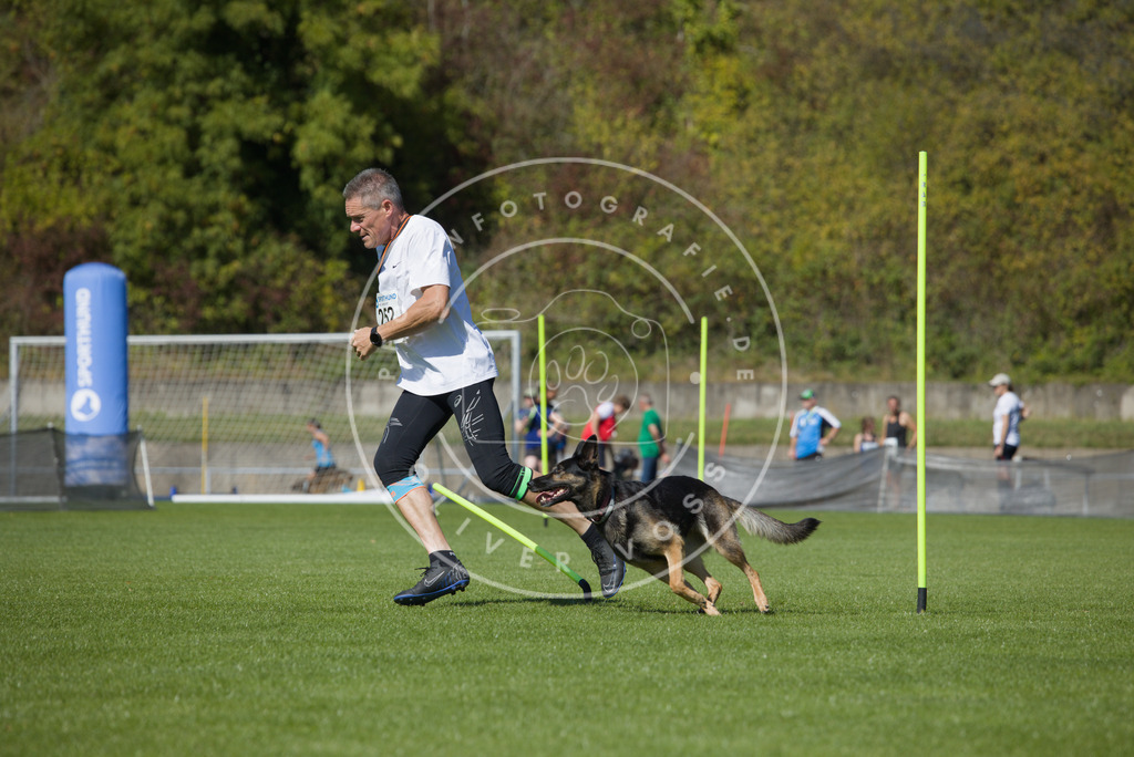 0L8A6323 | Hundefotografie, Tierfotograf, Pfotenfotografie, Fotoshooting Hund, Hunde Portrait, Hundesport, Hundeportraits, Heideshooting, Hunde, Sportfotograf, Hundefotograf, Turnierhundsport, THS,  - Realisiert mit Pictrs.com