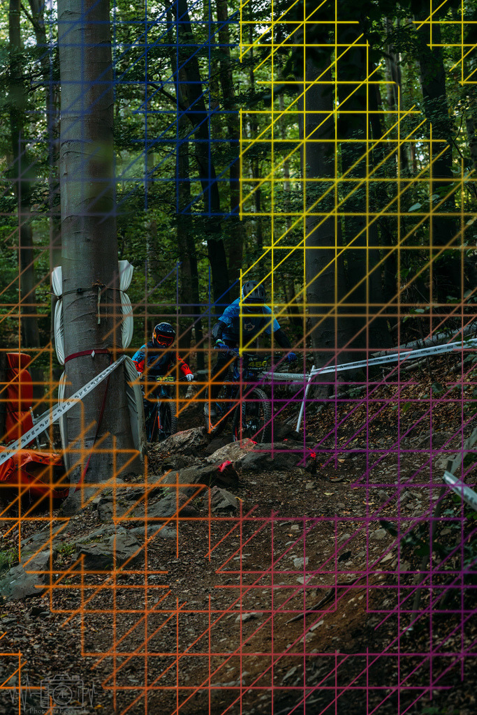 PAE-1313 | Einzigartige Fotokunst für dein Zuhause: Entdecke hochwertige Wandbilder, edle Prints und emotionale Motive von Wildlife, Natur und Landschaften - Realisiert mit Pictrs.com