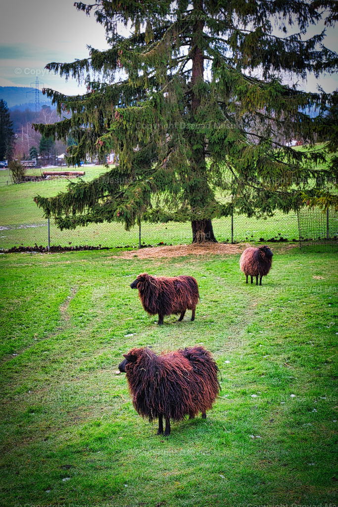 DSCF1588 | Ich fotografiere Landschaften, Produkte und erstelle für Sie Firmenportraits. Engagieren Sie mich für den nächsten Projekt. - Realisiert mit Pictrs.com