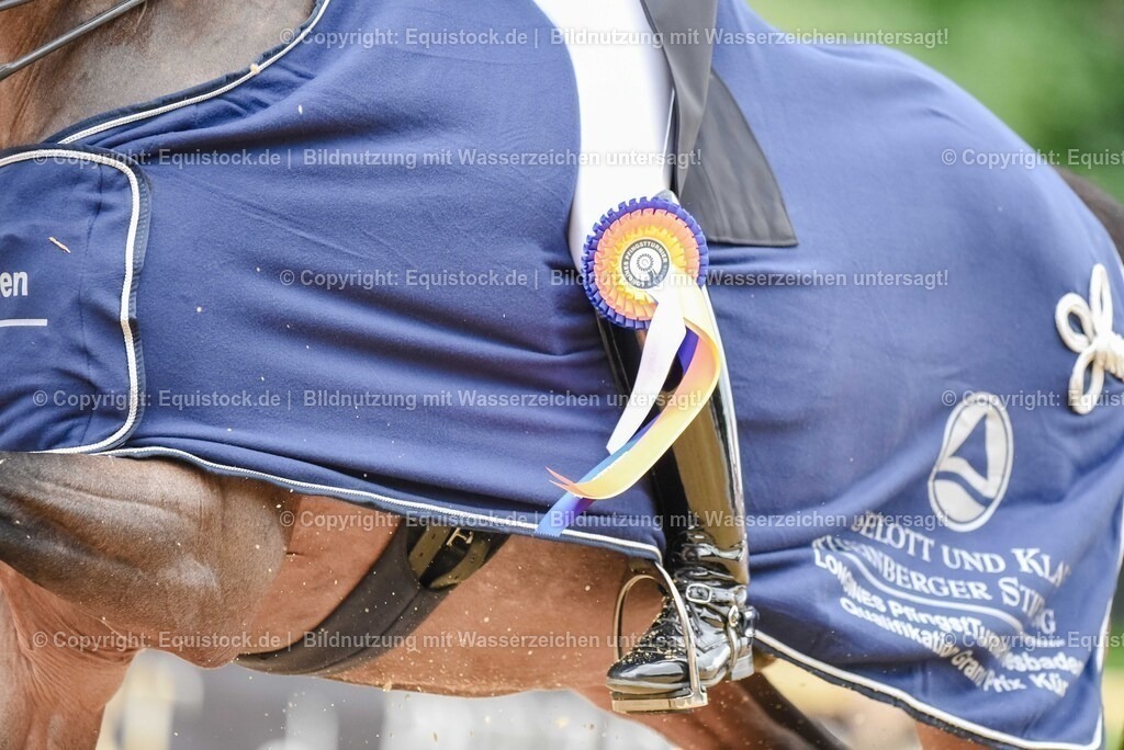 20250607_1_GP-Tour_Dressage_0566 | Foto: Thomas Hartig