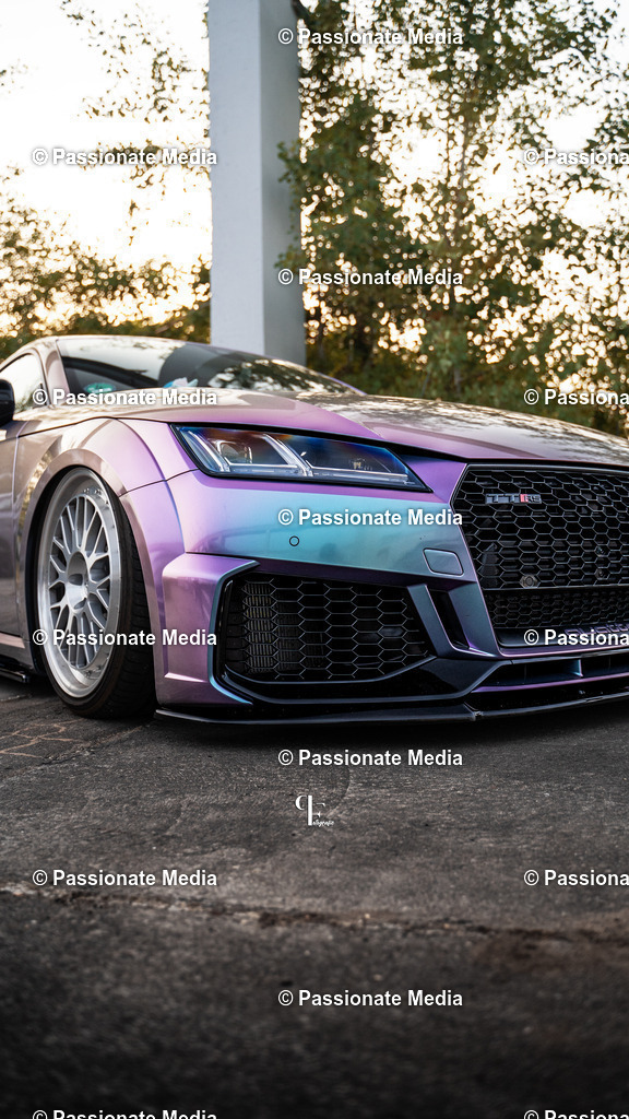 DSC05715 | Passionate Media, dein Fotograf aus Brandenburg, Märkisch Oderland, im Bereich Motorsport, Autos und Motorräder sowie Events und auch Hunde. Shootings oder auch Eventbegleitungen können bei mir gebucht we