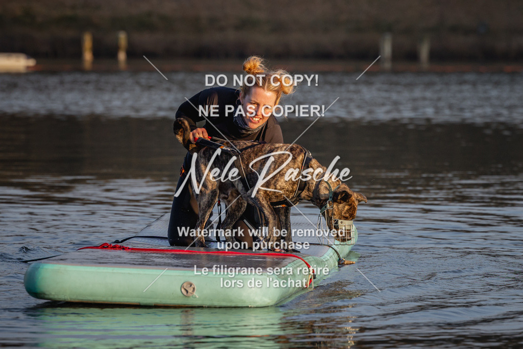 nelerasche_Hulsbeek_Sa1730-Ende_250 | nelerasche